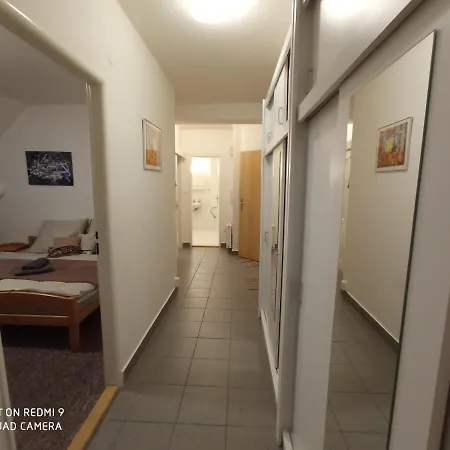 Violeta * هاراشوف