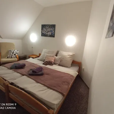 Violeta هاراشوف