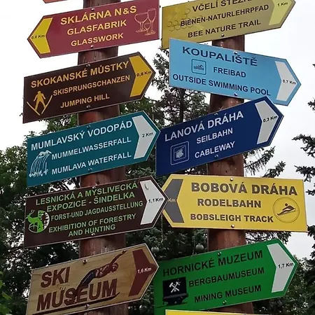 Violeta هاراشوف