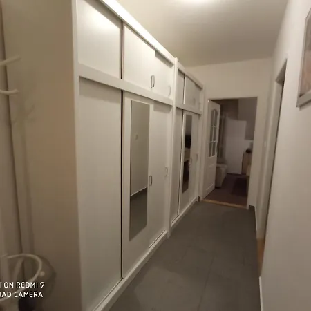 Violeta هاراشوف