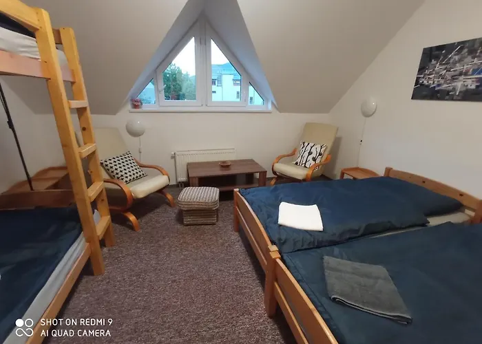Violeta * Harrachov